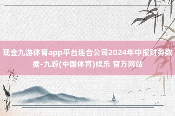 现金九游体育app平台连合公司2024年中报财务数据-九游(中国体育)娱乐 官方网站