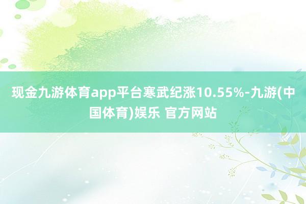 现金九游体育app平台寒武纪涨10.55%-九游(中国体育)娱乐 官方网站